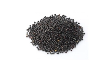 Canola grain Canola grain