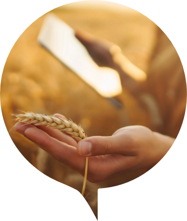 Watchlist and price alert overview Mockup image of Farmbucks Watchlist.